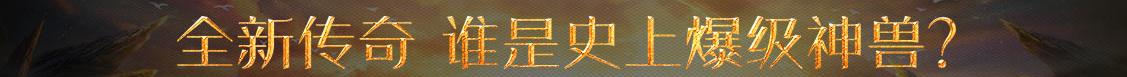 黄金行数字行